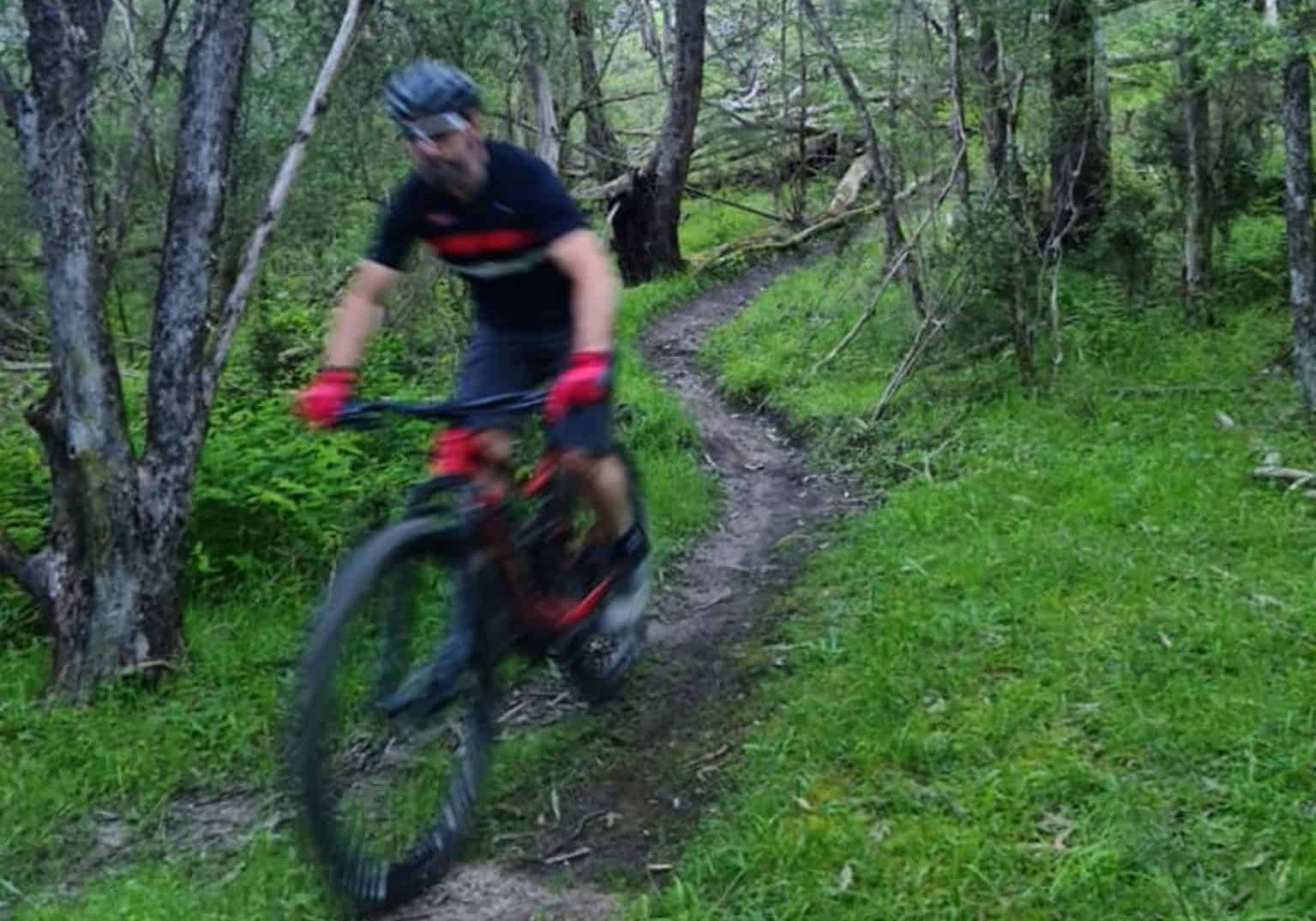 Eildon-Mountain-Bike-Park-1536x1152